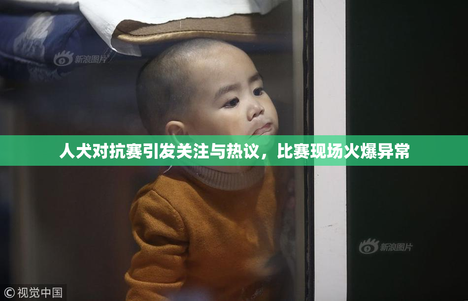 人犬对抗赛引发关注与热议，比赛现场火爆异常