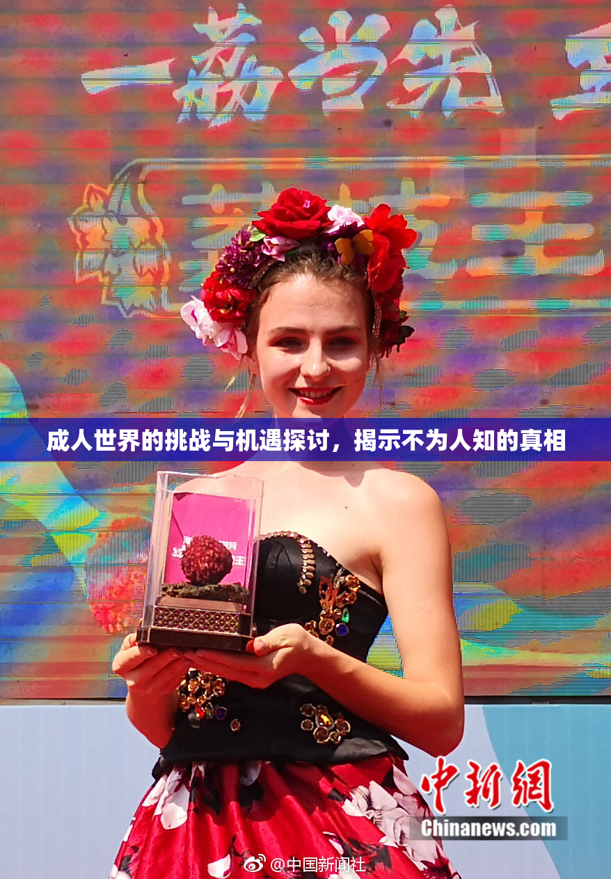 成人世界的挑战与机遇探讨，揭示不为人知的真相