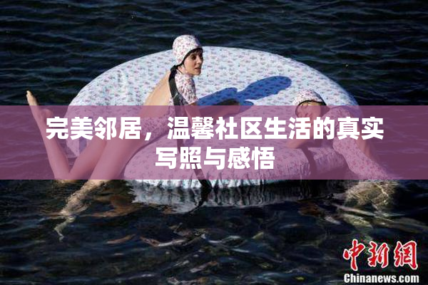 完美邻居，温馨社区生活的真实写照与感悟