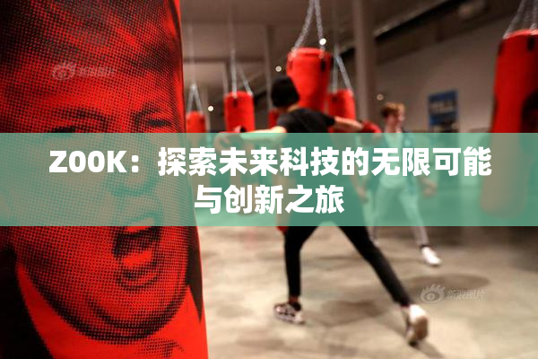 Z00K：探索未来科技的无限可能与创新之旅