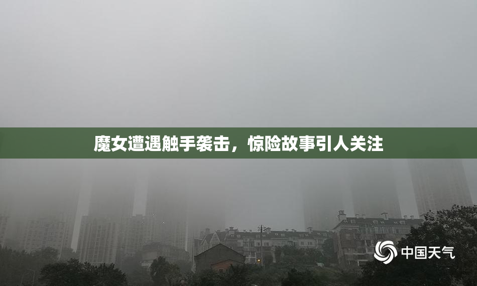 魔女遭遇触手袭击，惊险故事引人关注