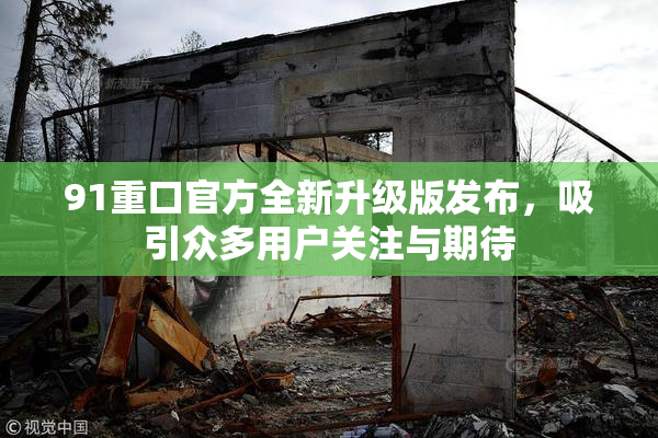 91重口官方全新升级版发布，吸引众多用户关注与期待