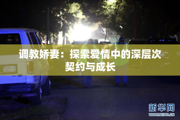 调教娇妻：探索爱情中的深层次契约与成长