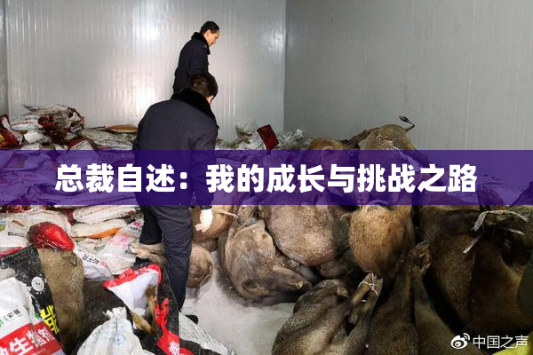 总裁自述：我的成长与挑战之路