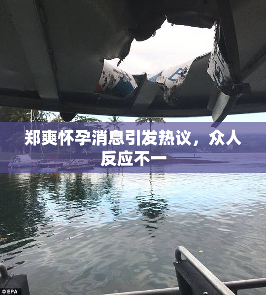 郑爽怀孕消息引发热议，众人反应不一