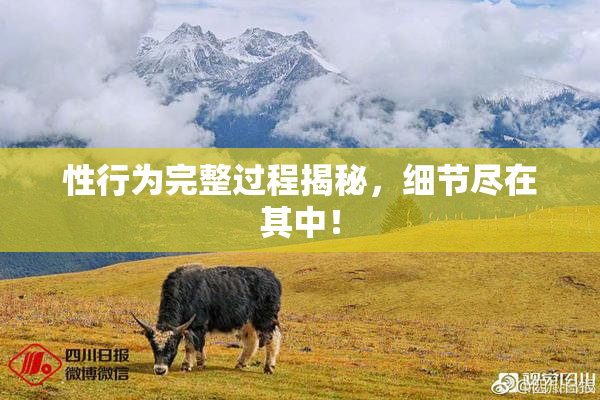 性行为完整过程揭秘，细节尽在其中！