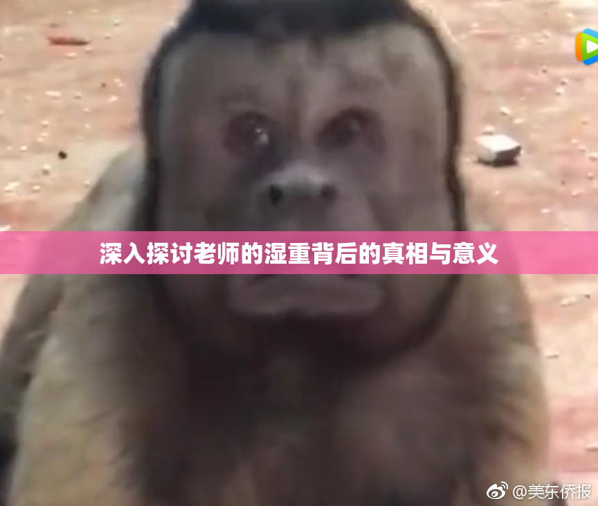 深入探讨老师的湿重背后的真相与意义