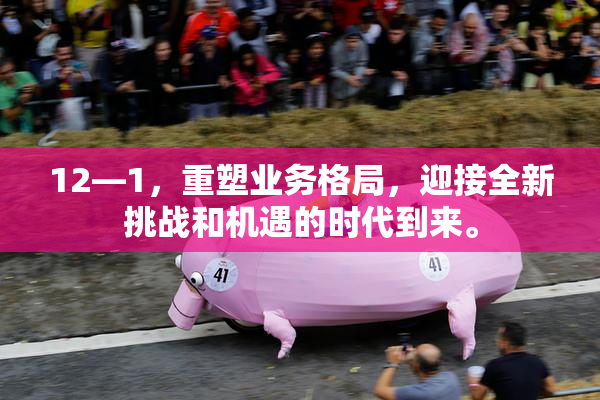 12—1，重塑业务格局，迎接全新挑战和机遇的时代到来。
