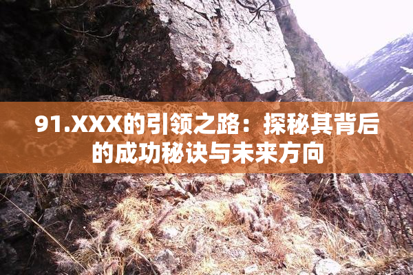 91.XXX的引领之路：探秘其背后的成功秘诀与未来方向