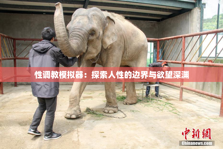 性调教模拟器：探索人性的边界与欲望深渊
