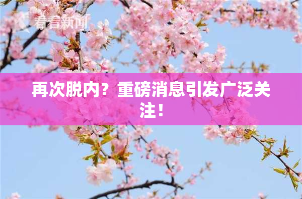 再次脱内？重磅消息引发广泛关注！