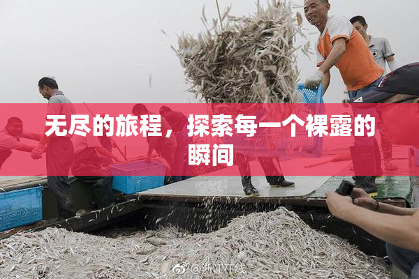 无尽的旅程，探索每一个裸露的瞬间