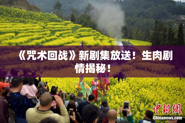 《咒术回战》新剧集放送！生肉剧情揭秘！