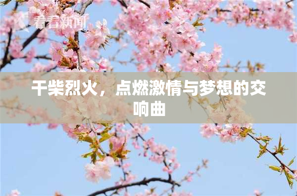 干柴烈火，点燃激情与梦想的交响曲