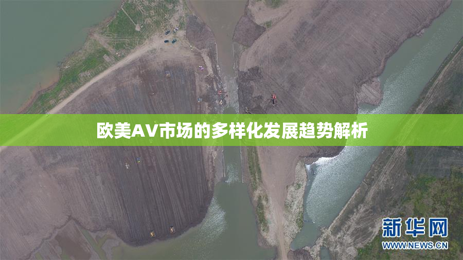 欧美AV市场的多样化发展趋势解析