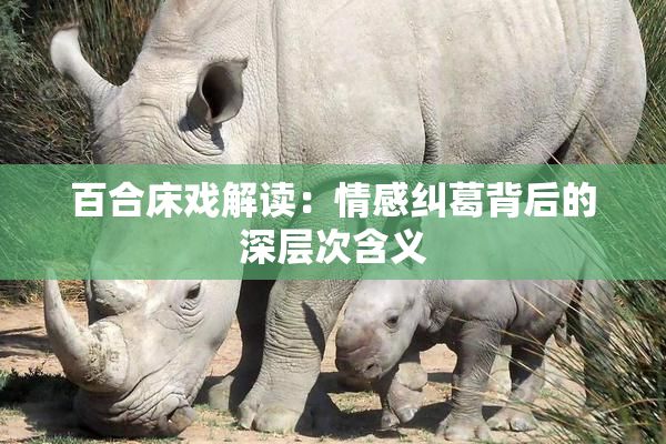 百合床戏解读：情感纠葛背后的深层次含义