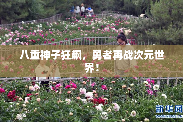 八重神子狂飙，勇者再战次元世界！