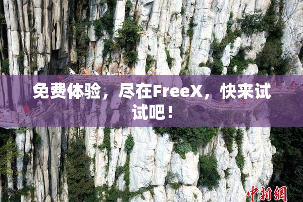 免费体验，尽在FreeX，快来试试吧！