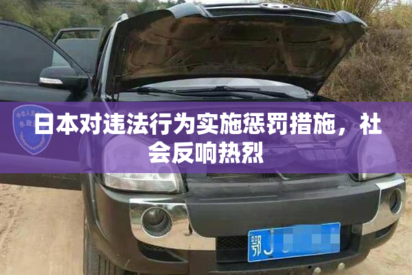 日本对违法行为实施惩罚措施，社会反响热烈