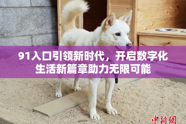 91入口引领新时代，开启数字化生活新篇章助力无限可能