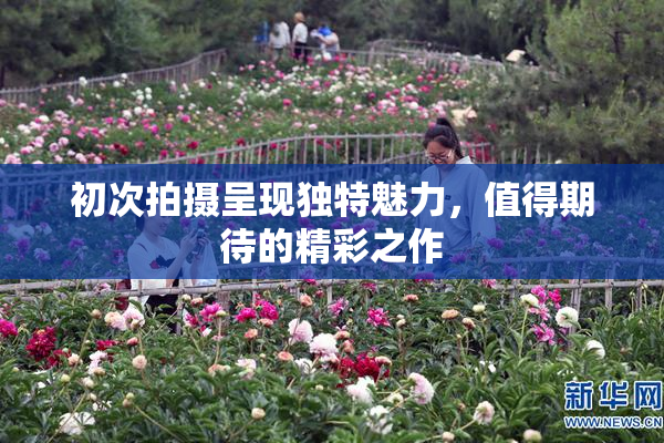 初次拍摄呈现独特魅力，值得期待的精彩之作