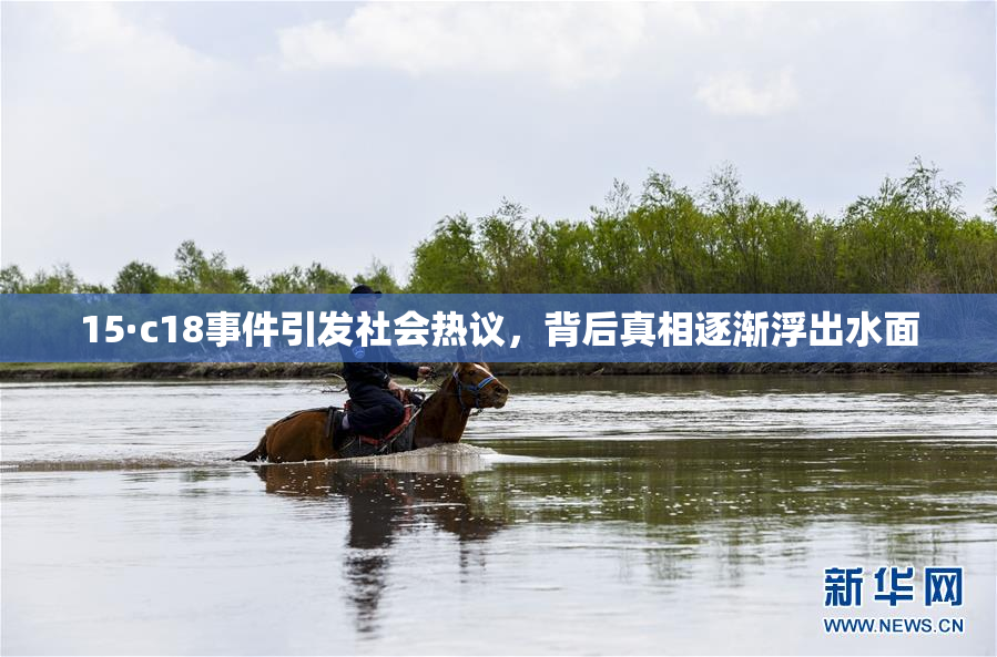 15·c18事件引发社会热议，背后真相逐渐浮出水面