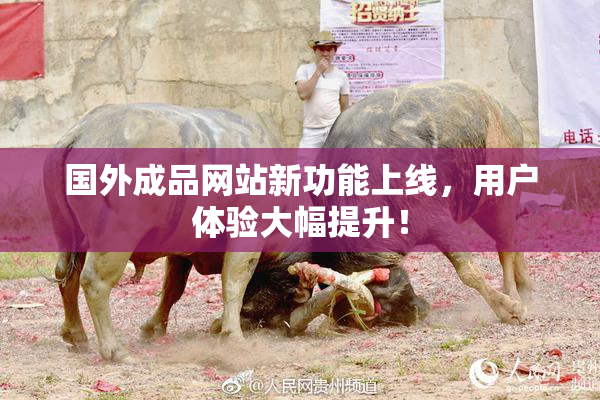 国外成品网站新功能上线，用户体验大幅提升！