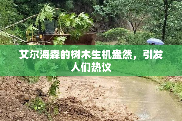艾尔海森的树木生机盎然，引发人们热议