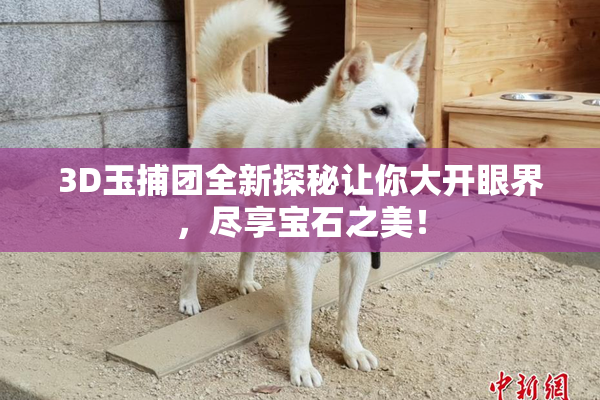 3D玉捕团全新探秘让你大开眼界，尽享宝石之美！