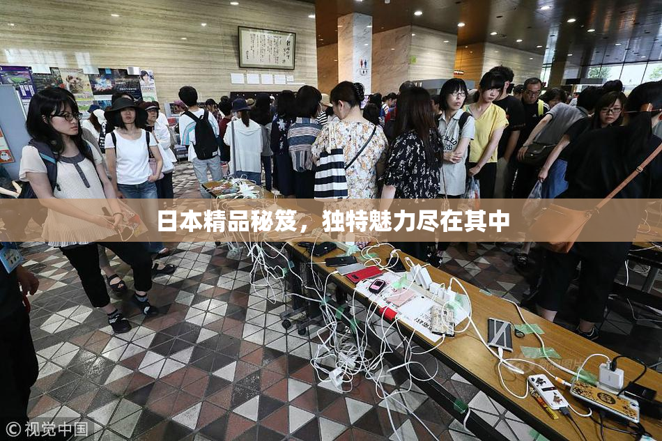 日本精品秘笈，独特魅力尽在其中