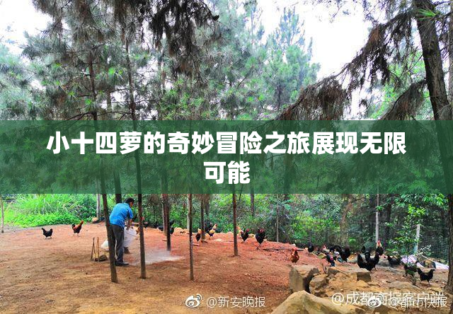 小十四萝的奇妙冒险之旅展现无限可能