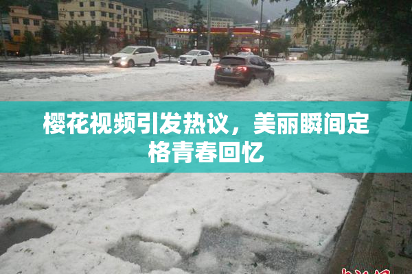 樱花视频引发热议，美丽瞬间定格青春回忆