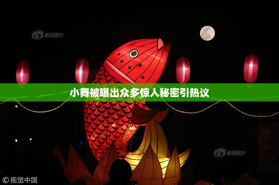小舞被曝出众多惊人秘密引热议