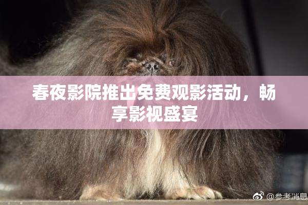 春夜影院推出免费观影活动，畅享影视盛宴