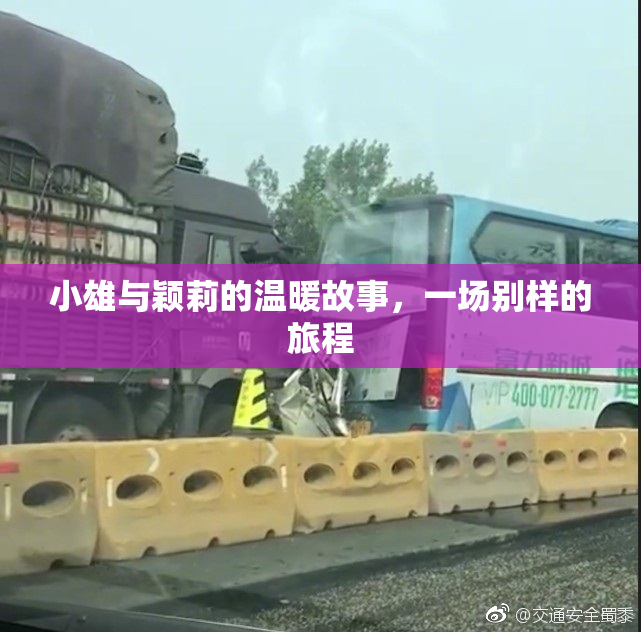 小雄与颖莉的温暖故事，一场别样的旅程