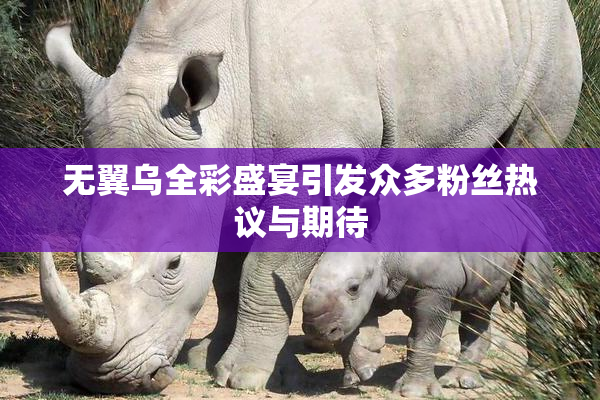 无翼乌全彩盛宴引发众多粉丝热议与期待