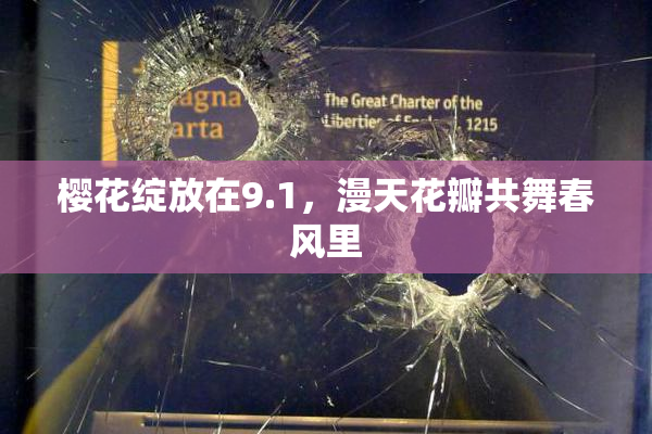樱花绽放在9.1，漫天花瓣共舞春风里