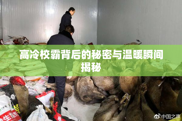 高冷校霸背后的秘密与温暖瞬间揭秘