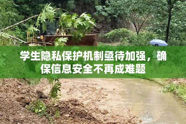 学生隐私保护机制亟待加强，确保信息安全不再成难题