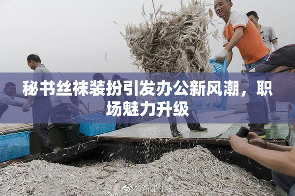 秘书丝袜装扮引发办公新风潮，职场魅力升级