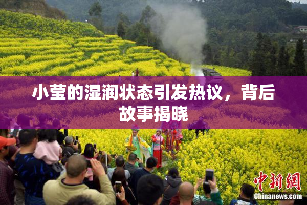 小莹的湿润状态引发热议，背后故事揭晓