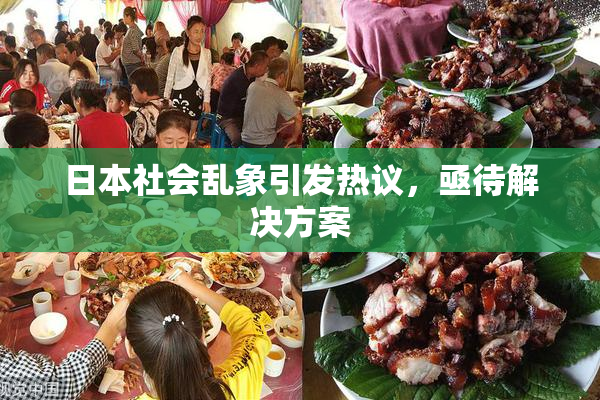 日本社会乱象引发热议，亟待解决方案
