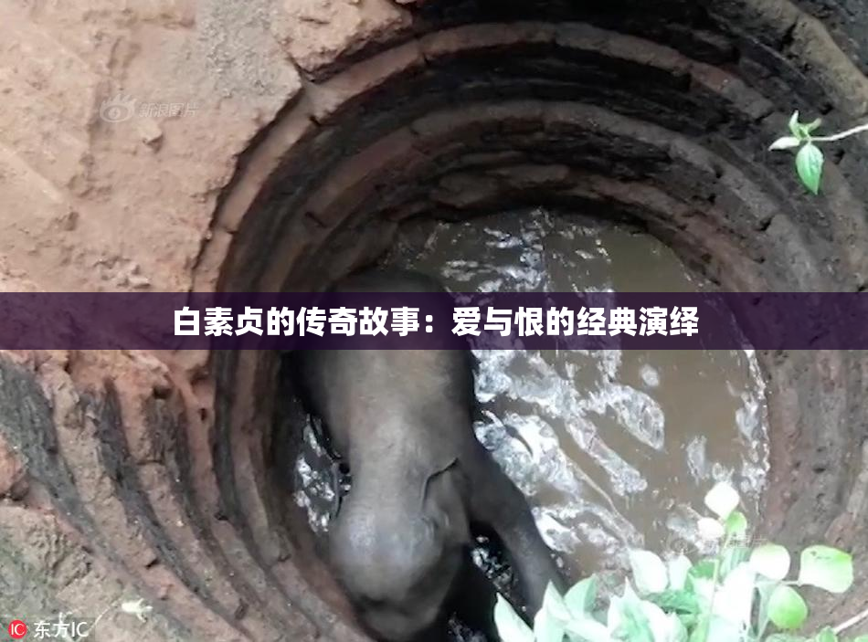白素贞的传奇故事：爱与恨的经典演绎