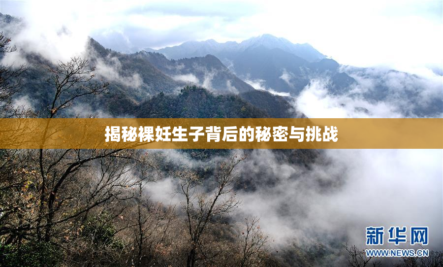 揭秘裸妊生子背后的秘密与挑战