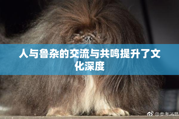 人与鲁杂的交流与共鸣提升了文化深度