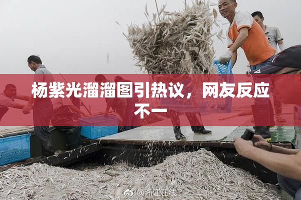 杨紫光溜溜图引热议，网友反应不一
