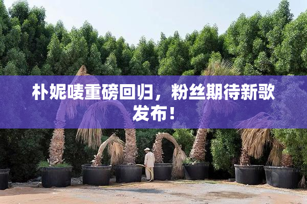 朴妮唛重磅回归，粉丝期待新歌发布！
