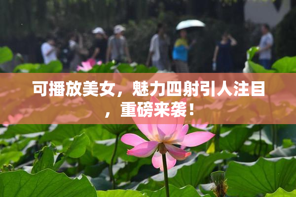可播放美女，魅力四射引人注目，重磅来袭！