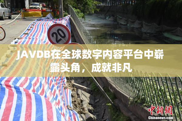 JAVDB在全球数字内容平台中崭露头角，成就非凡
