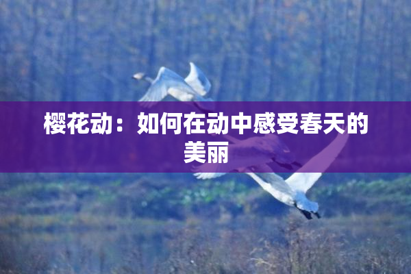 樱花动：如何在动中感受春天的美丽